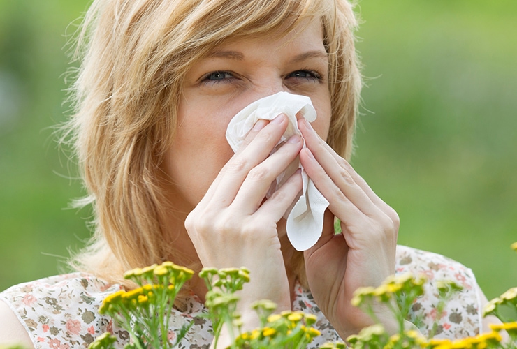 U vazduhu se mere umerene i niske koncentracije polena