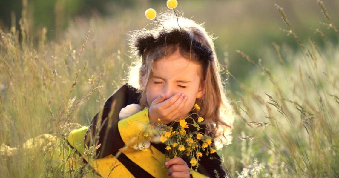 Polenski semafor – visoke koncentracije polena breze, gelegunje i platana
