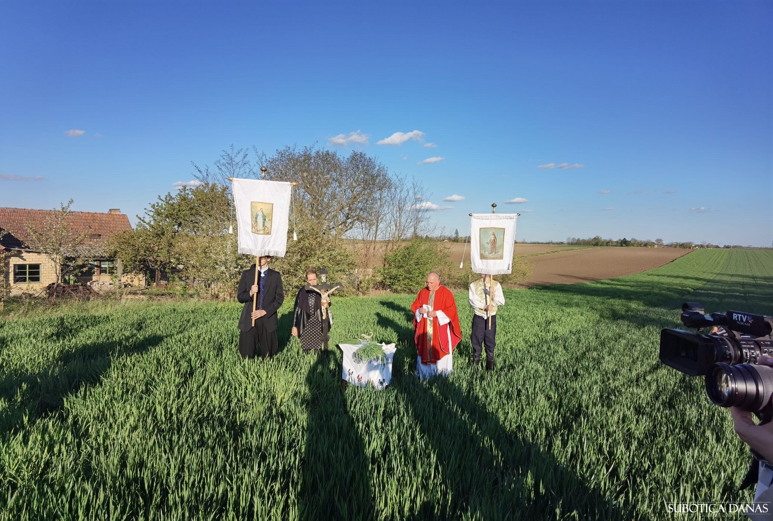 Obeležen Dan Svetog Marka – Blagoslov žita i žitnih polja
