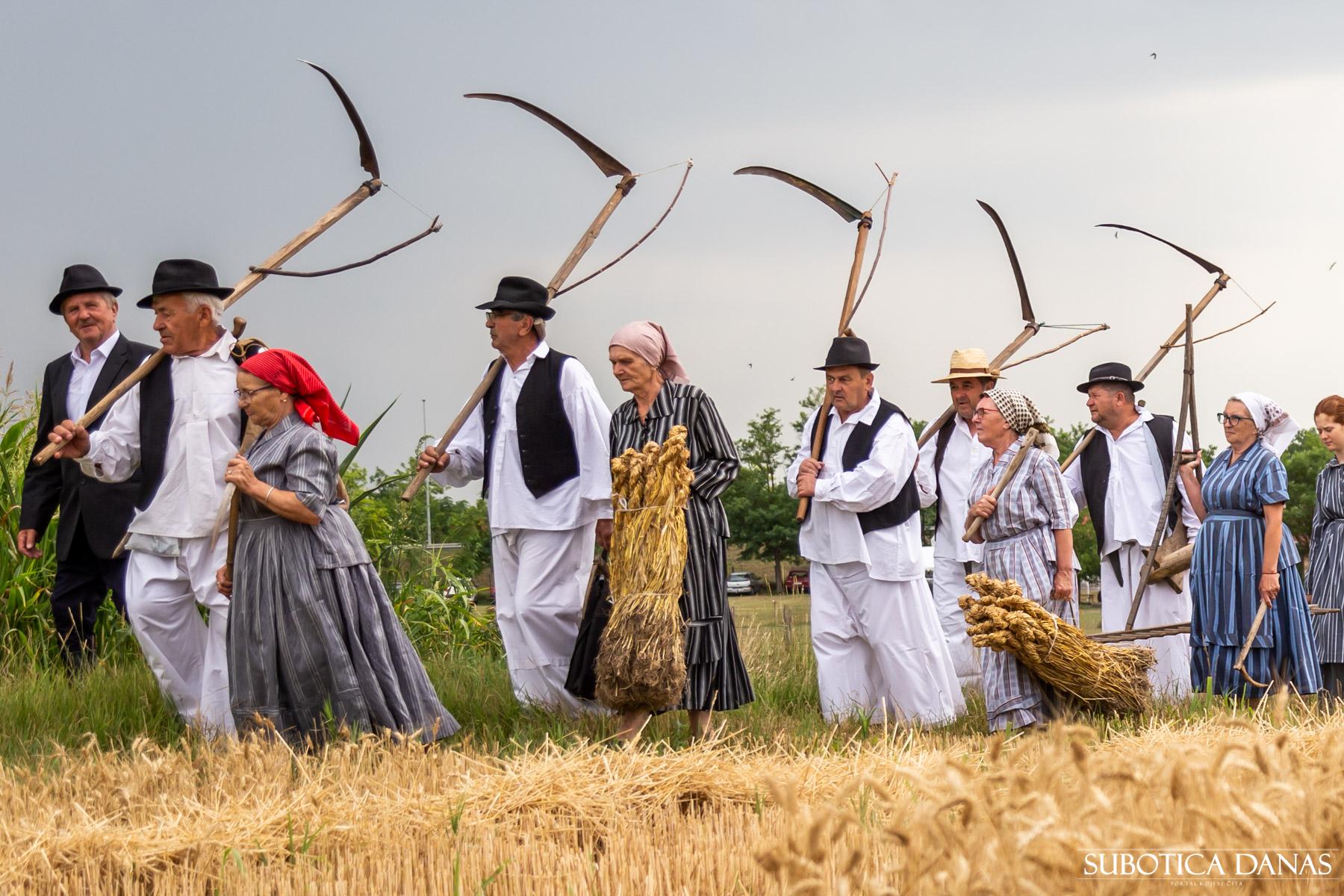 UG „Centar za kulturu Bunjevaca“ i BNS organizuju „Ris – tradicionalno košenje žita“
