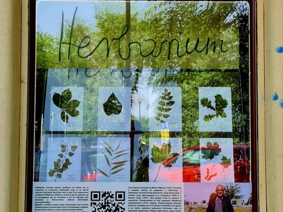 Izložbom „Herbarium“ predstavljen biljni svet koji raste na subotičkim grobljima