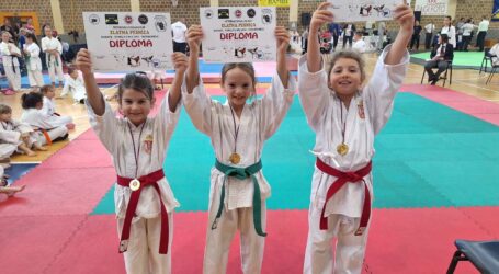 Sa prijateljskih karate turnira stižu medalje