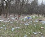 NGG Subotica-NAŠ GRAD!: Odgovorni da daju odgovor, kada će krenuti u rešavanje problema subotičkih šuma!?